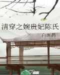 清穿之婉贵妃陈氏 封面
