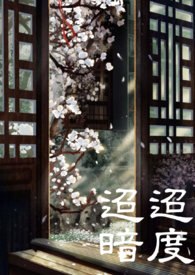 迢迢暗度 封面