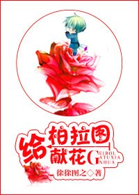给柏拉图献花[娱乐圈] 封面
