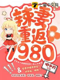 辣妻重返1980 封面