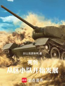 亮剑：从区小队开始发展 封面