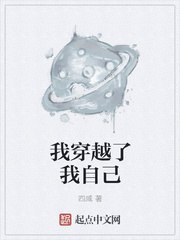 我穿越了我自己 封面