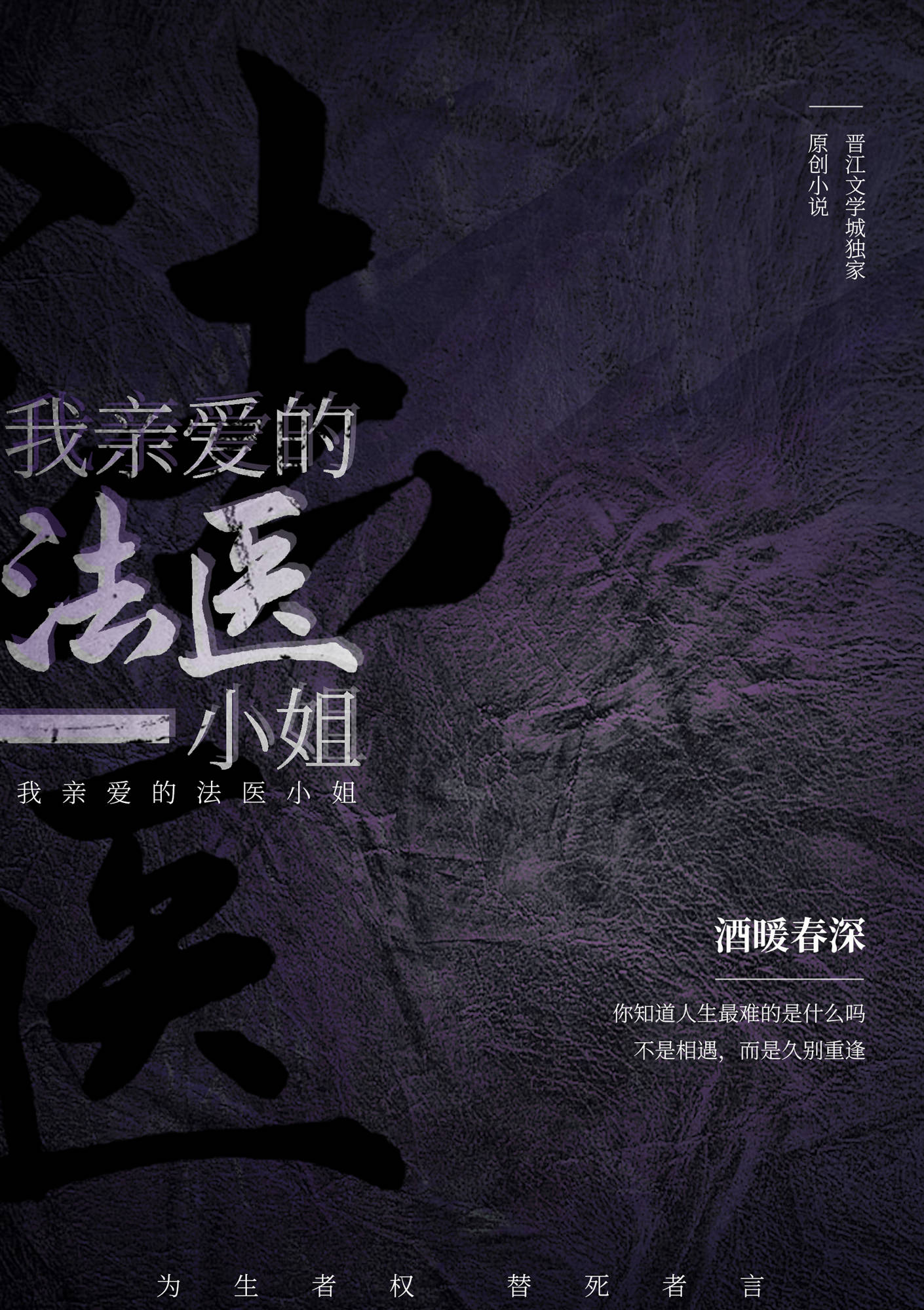 我亲爱的法医小姐 封面