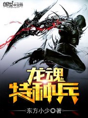 龙魂特种兵 封面