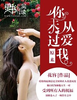 原来你从未爱过我 封面