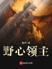 野心领主 封面