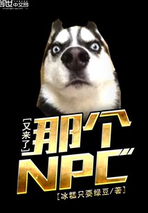 那个NPC又来了 封面