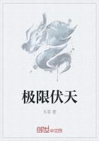 极限伏天 封面
