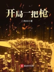 开局一把枪 封面