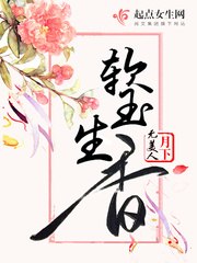 苏阮谢渊 封面
