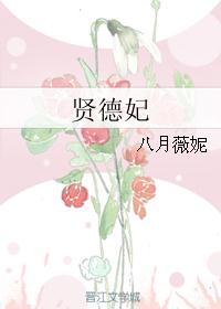 贤德妃 封面
