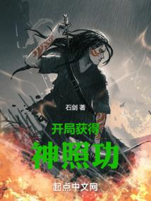 开局获得神照功 封面