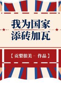我为国家添砖加瓦 封面