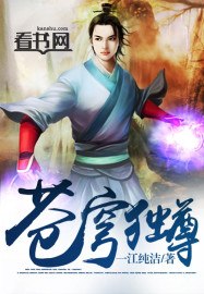 苍穹独尊 封面