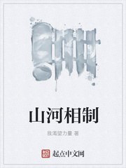 山河相制 封面