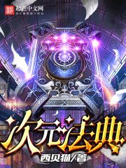 次元法典txt下载 封面