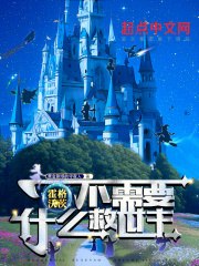 霍格沃茨不需要什么救世主 封面