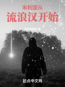美利坚从流浪汉开始逆袭 封面