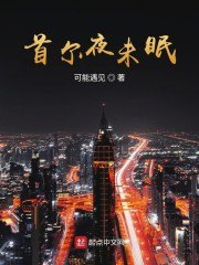 首尔夜未眠 封面