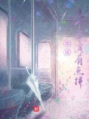华娱：这个导演有点拼 封面