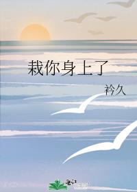 栽你身上了 封面