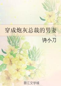 穿成炮灰总裁的男妻 封面