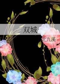 双城 封面
