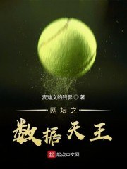 网坛之数据天王 封面