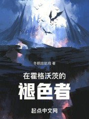 在霍格沃茨的褪色者 封面