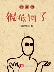 我真的很低调了 封面