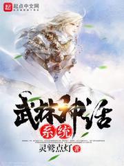 武林神话系统 封面