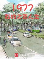 1977：我的文艺人生 封面
