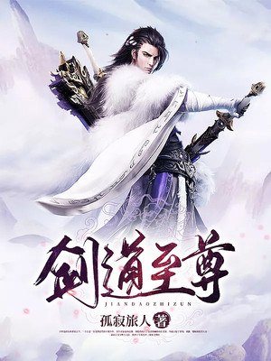 剑道至尊 封面