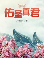 清玄佑圣真君 封面