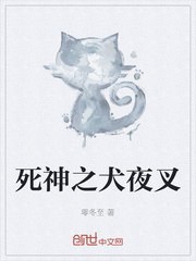 死神之犬夜叉 封面