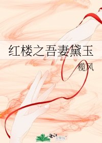 红楼之吾妻黛玉 封面