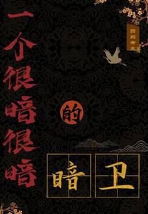 谍影：命令与征服 封面