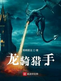 龙骑猎手 封面