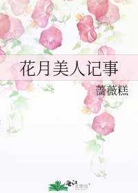 花月美人记事 封面