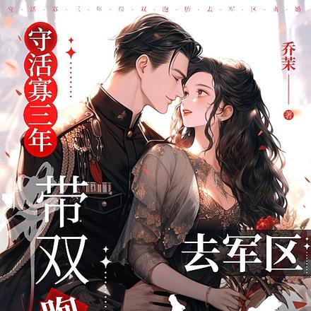 守活寡三年,带双胞胎去军区离婚 封面