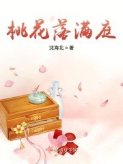 沈清清柳姨娘 封面