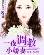 一夜调教小娇妻 封面