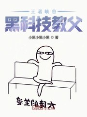王者峡谷黑科技教父 封面