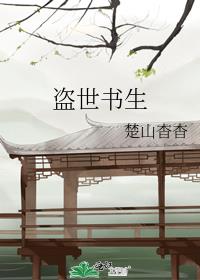 盗世书生 封面