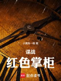谍战：红色掌柜 封面