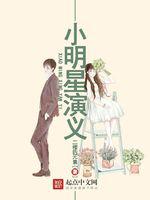 小明星演义 封面