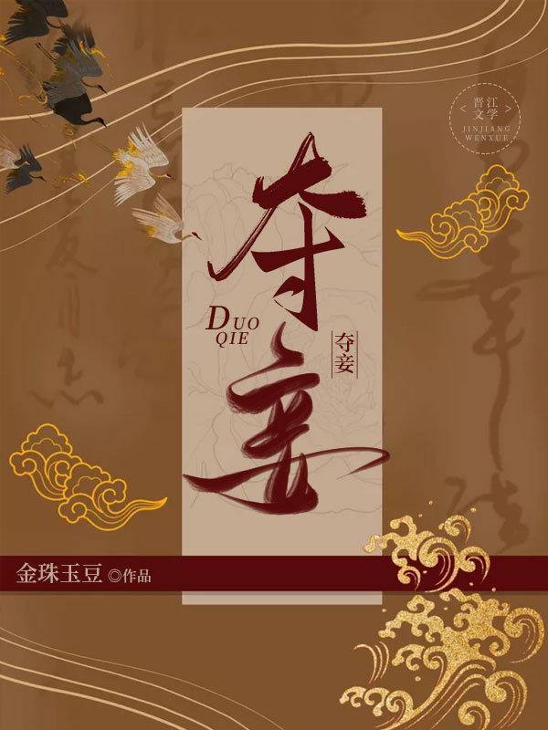 二嫁娇妾 封面