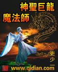神圣巨龙魔法师 封面