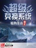 超级兑换系统 封面