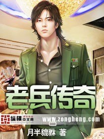 老兵传奇 封面